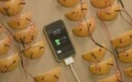 Il faut 2380 tranches d'Orange pour recharger un iPhone